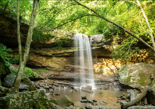 Ohiopyle State Park