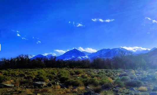 Baker Creek Campground