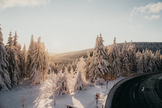 Best Cold Weather RV