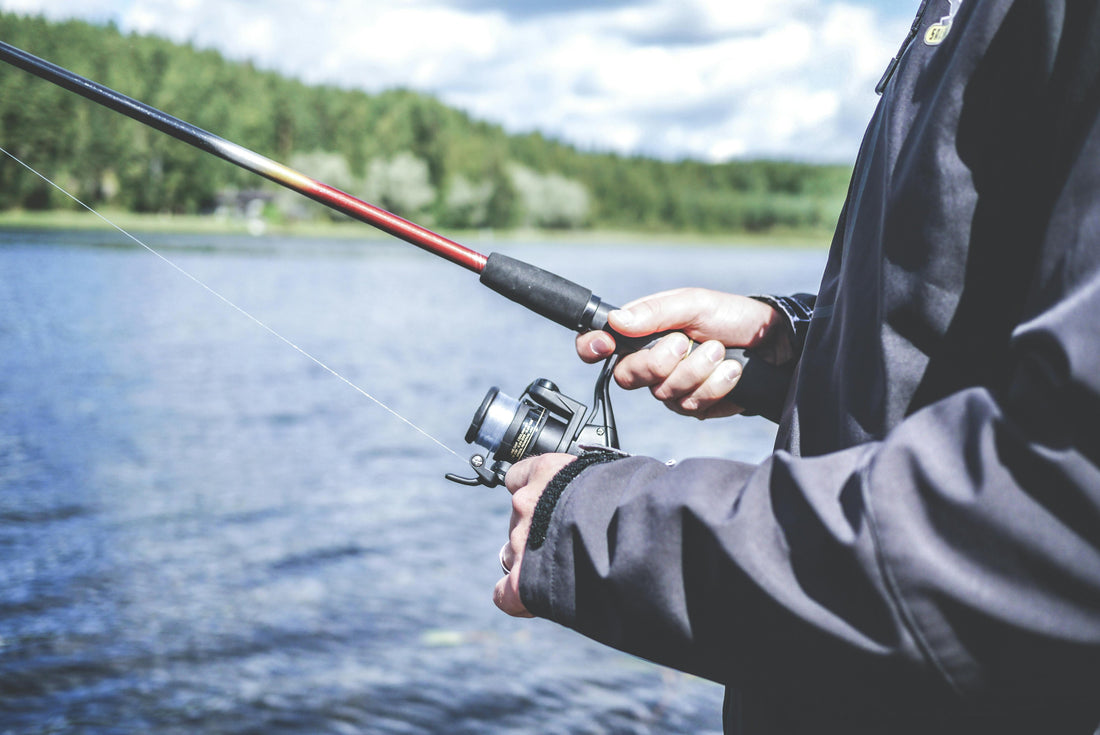 Picking the Right Bait for Freshwater Fishing